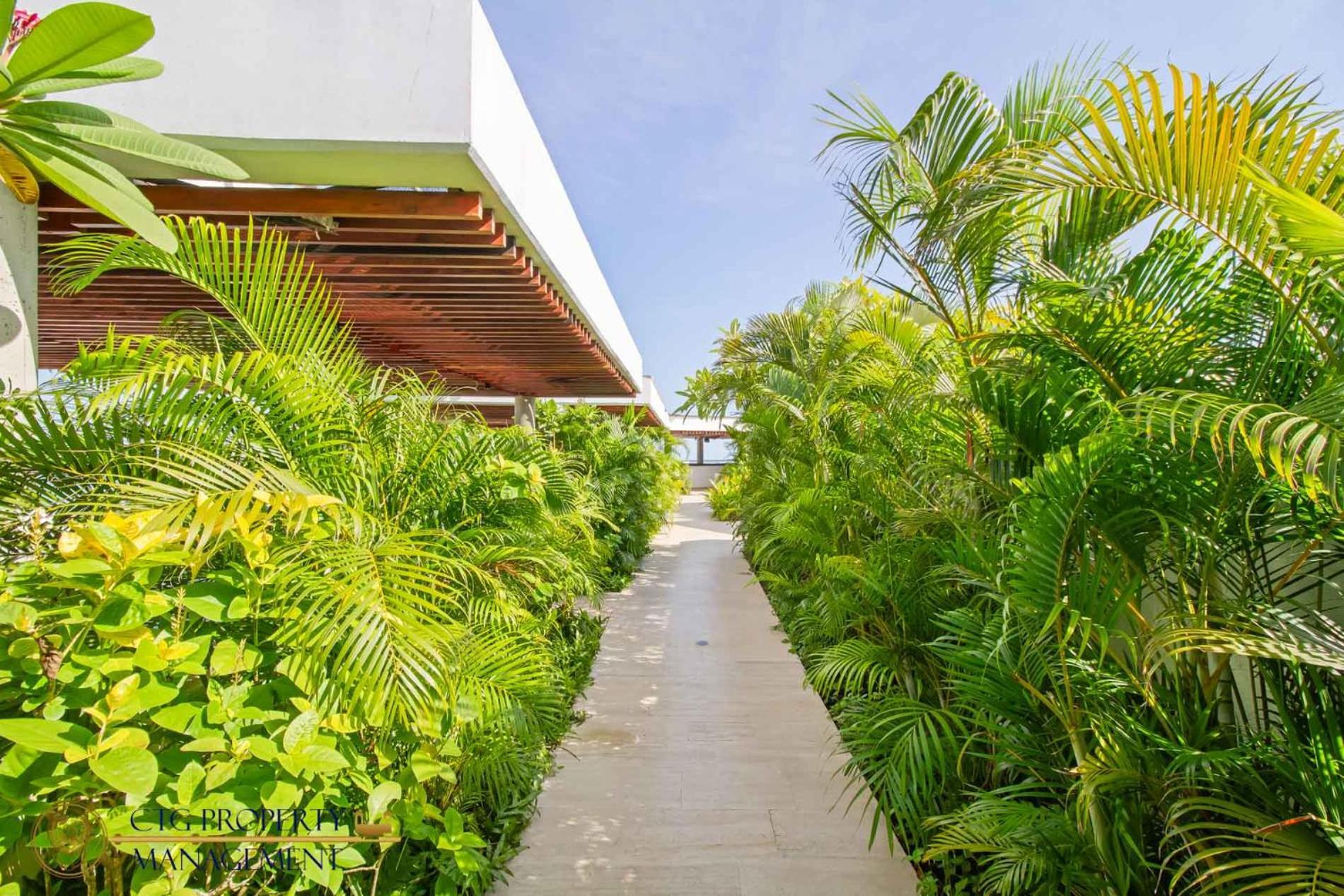 Martinique Cartagena - Apartamentos A Corta Caminata De Playa Azul Buitenkant foto